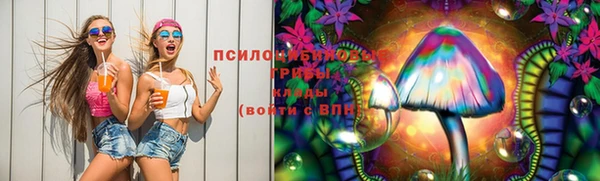 хмурый Алексин