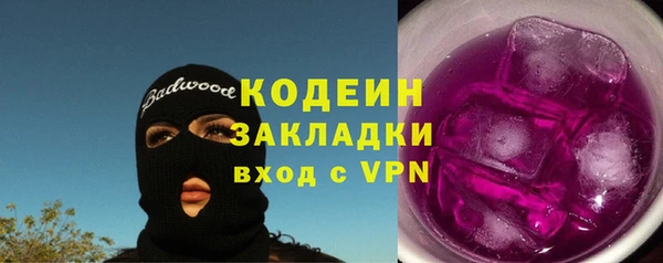 хмурый Алексин