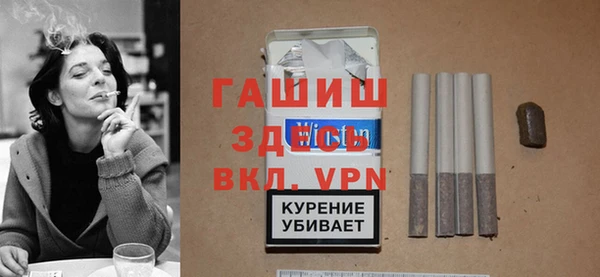 хмурый Алексин