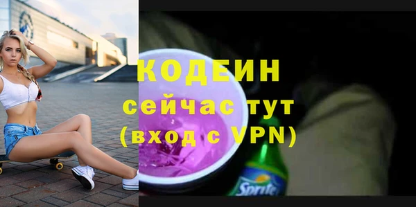 хмурый Алексин