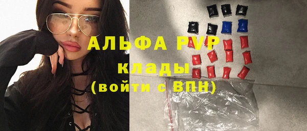 хмурый Алексин